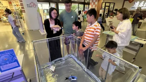 虎牙直播战队，棒球直播，崛起，电竞生态新篇章